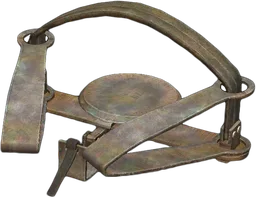 Bear Trap