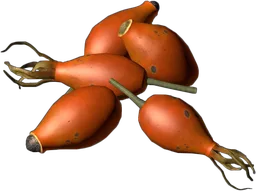 Canina Berry