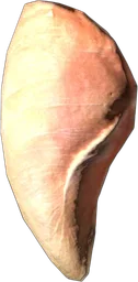 Chicken Breast Meat