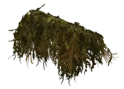 Ghillie Att Mossy