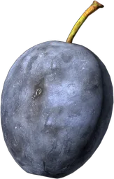 Plum